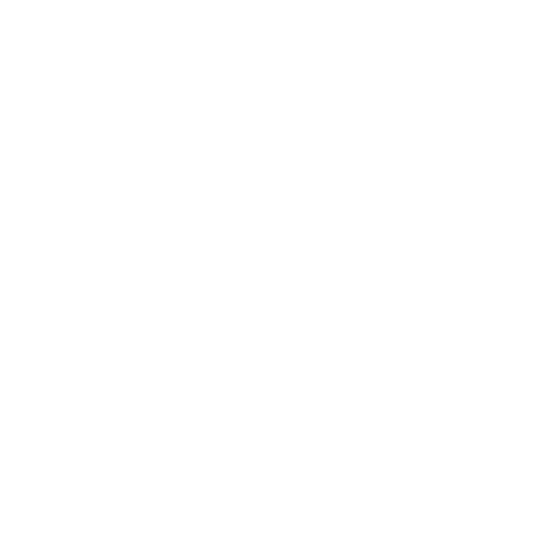 Light Speed Group